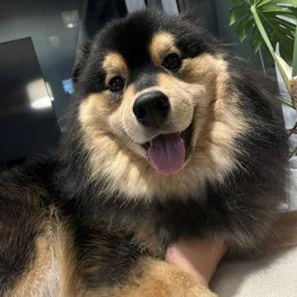 Wally's newlywed fund (Venmo)