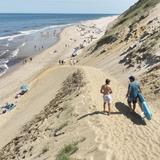 Beachcomber in Wellfleet
