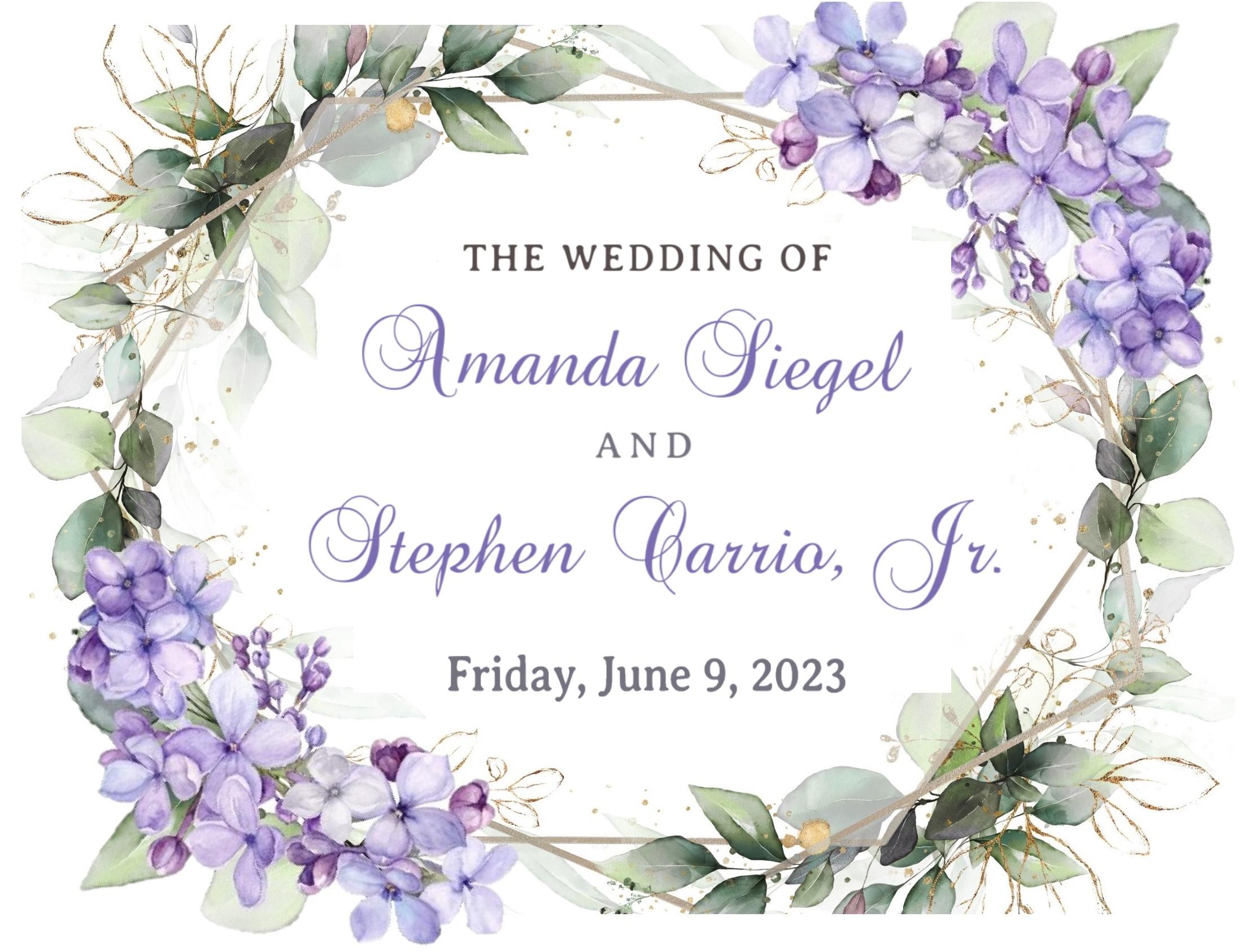 The Wedding Website of Amanda Siegel and Stephen Carrio, Jr.