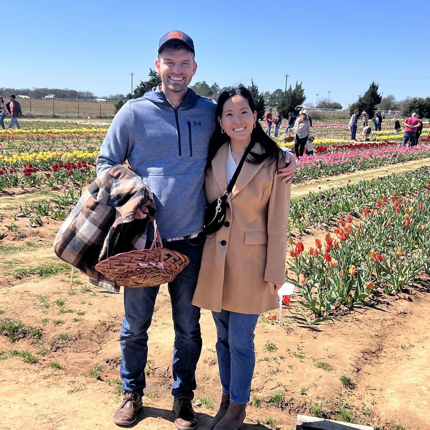 Tulip picking