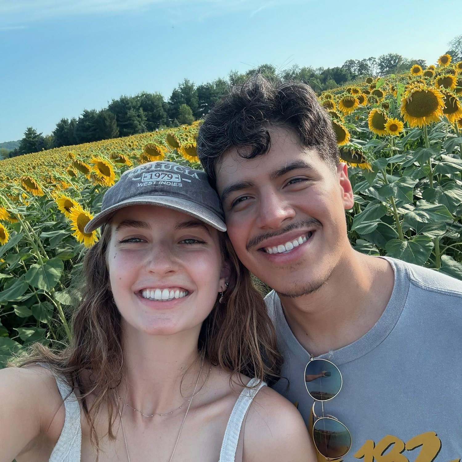 Sunflower Field, PA