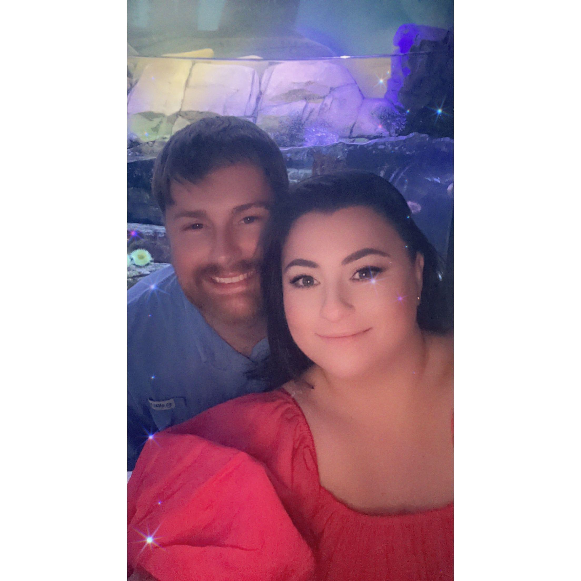 celebrated one year together at the aquarium right before he proposed
