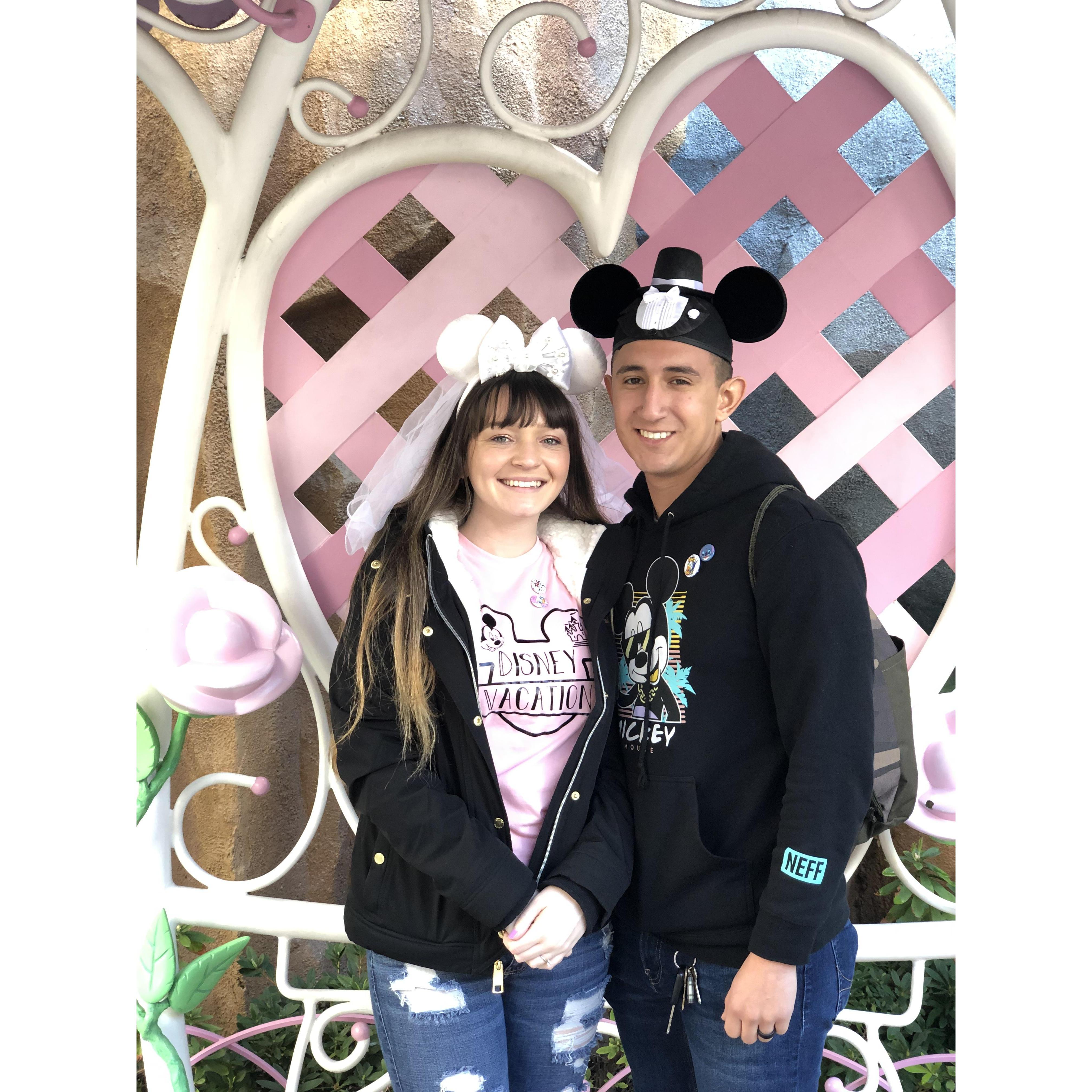 Disneyland Adventures!