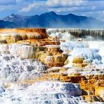 Visit Yellowstone National Park