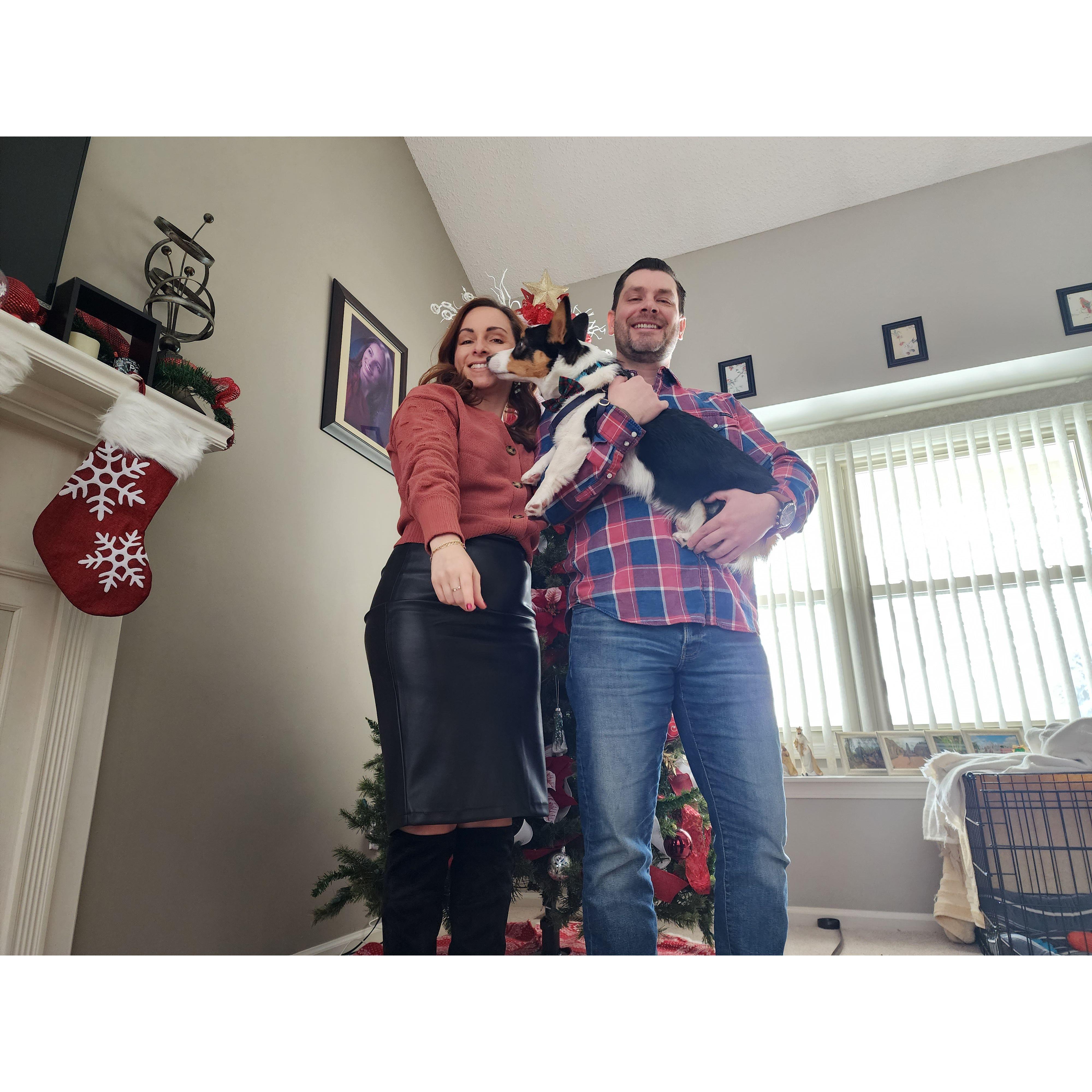 Auggie spreading kisses at Christmas!