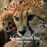 Saint Louis Zoo