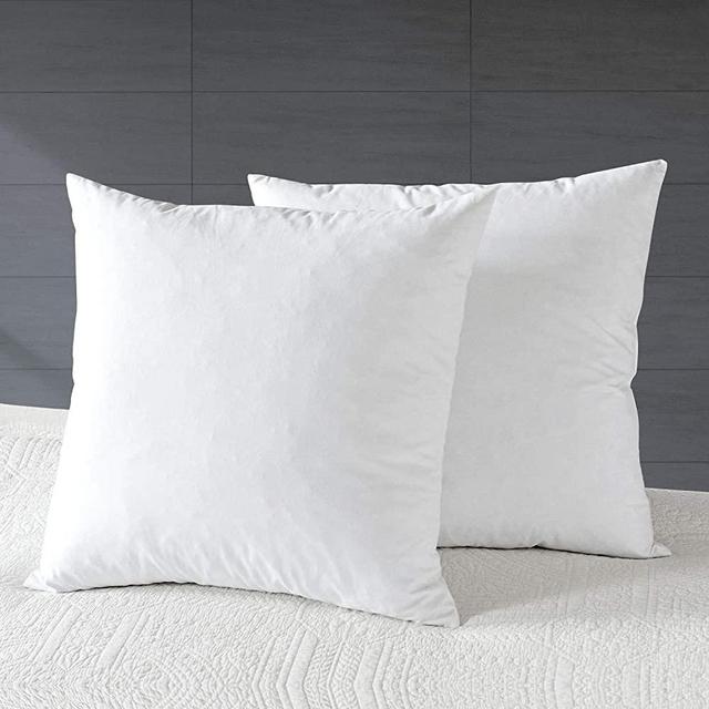 APSMILE 20x20 Goose Down Feather Throw Pillow Inserts 2 Pack - Premium Soft Cotton Euro Square Decorative Pillow Core Set for Bed, Sofa, Couch, Ivory White
