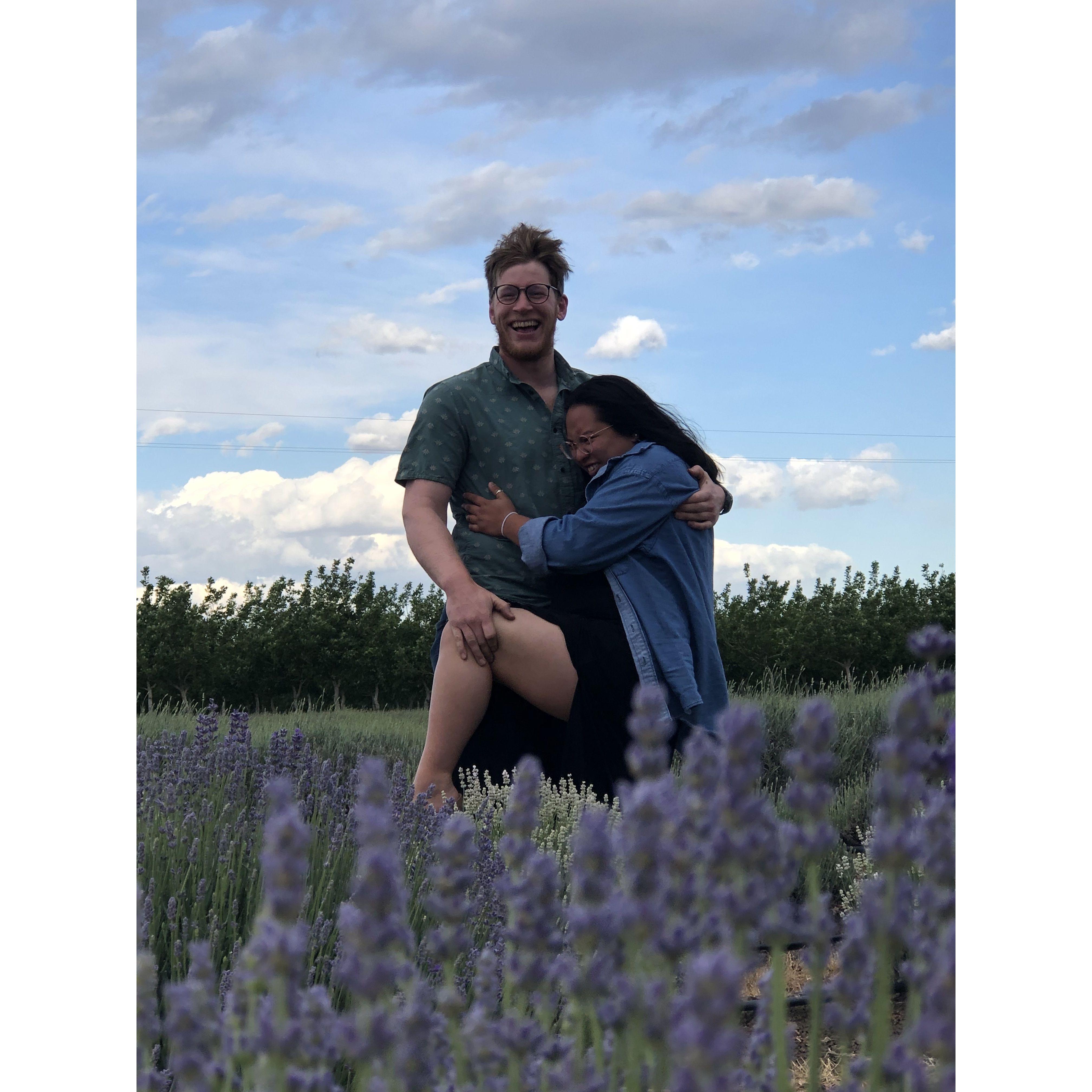 Small One wanted to take photos in a lavender field, so we found one in Dixon, CA and hammed it up.