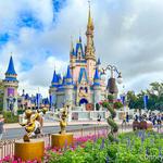 Magic Kingdom Park