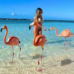 Flamingo Beach