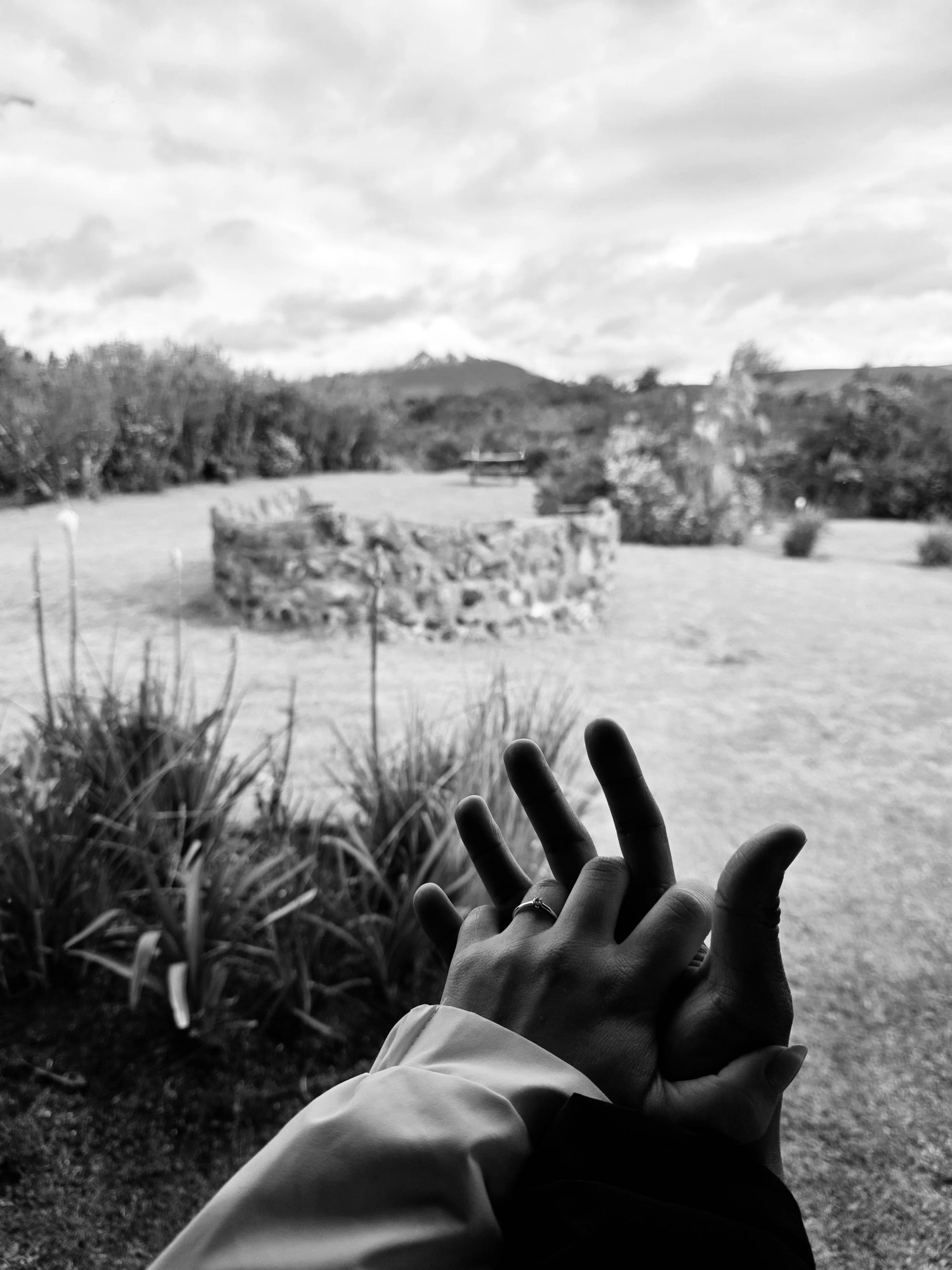 The Wedding Website of Laura Rojas and Juan Rodríguez