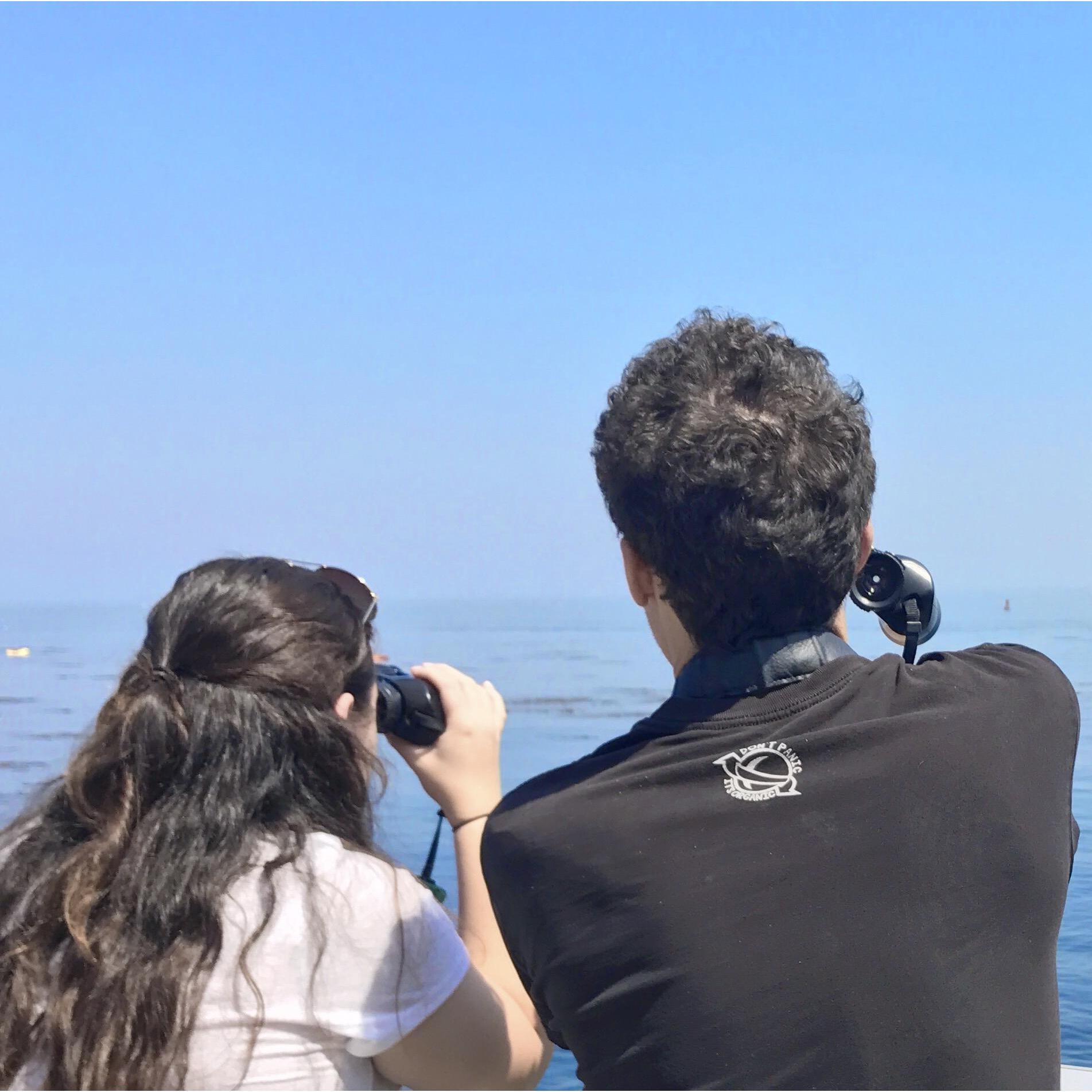 Jenny and Stewart spy with their eyes something moving in the waters of Monterey Bay.