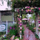 The Tea House on Los Rios