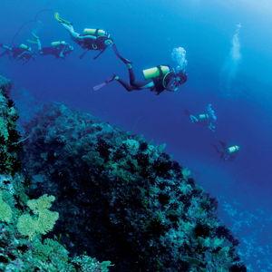 Honeymoon Scuba Diving Activity