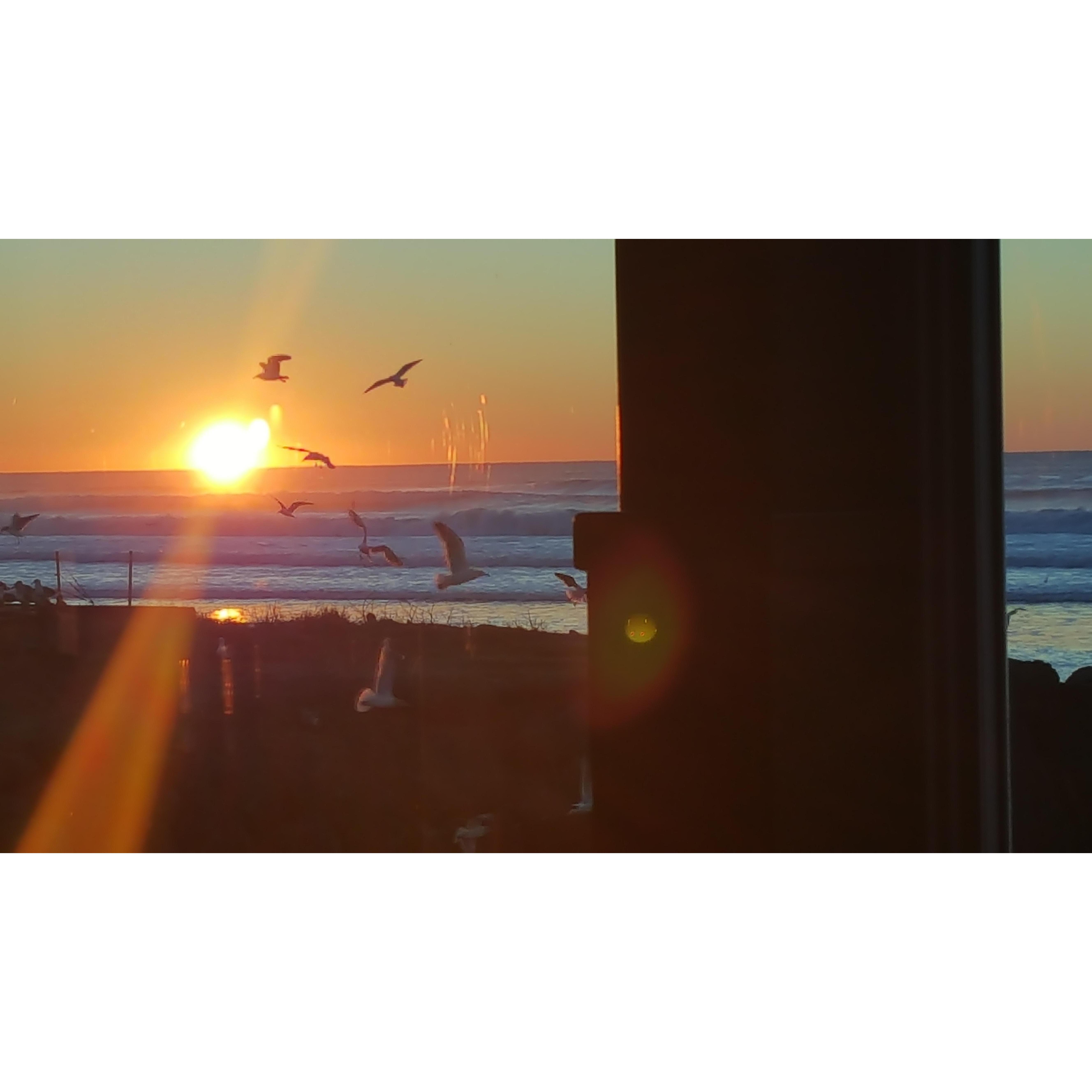 Our favorite scene; The beach