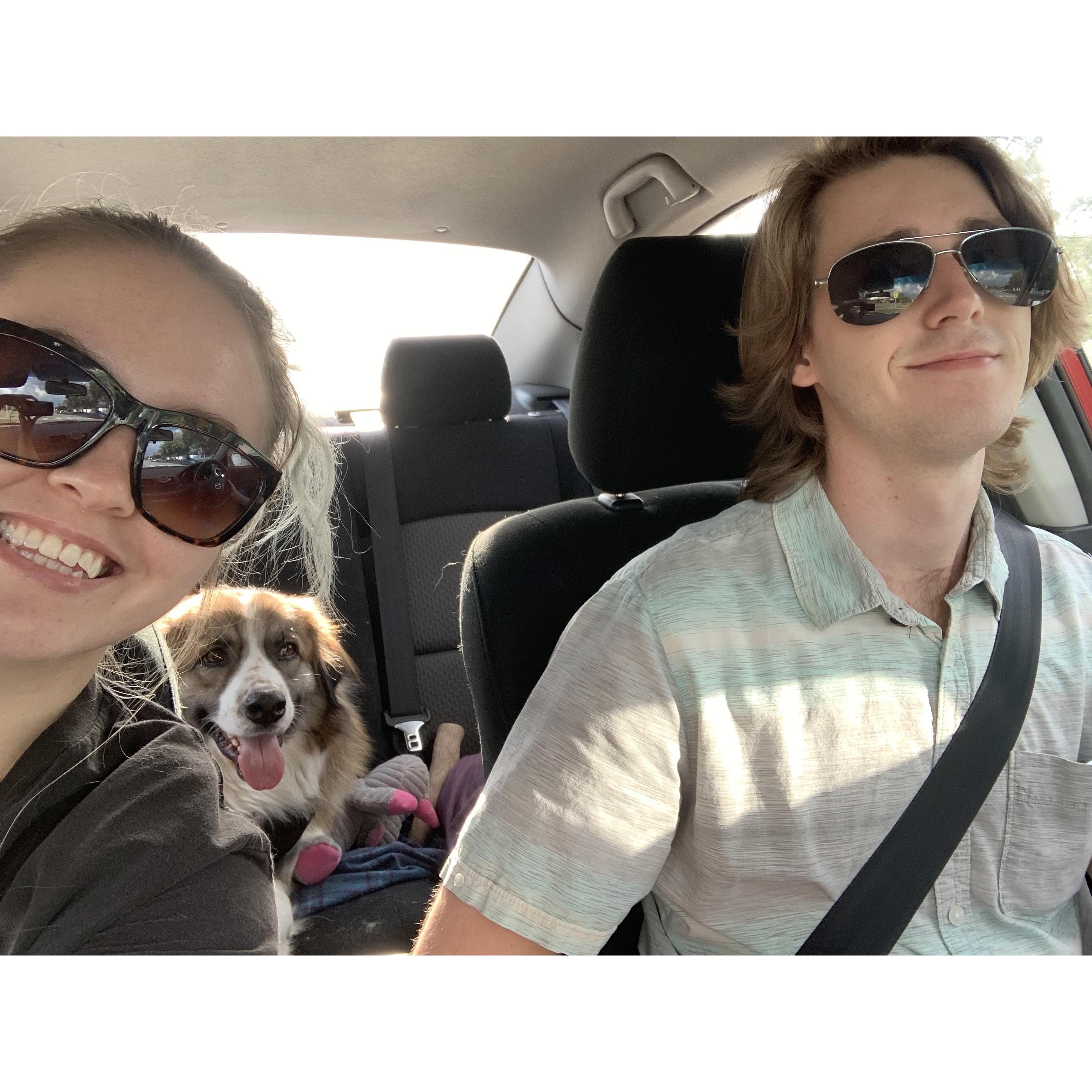 Roadtrips with Hazel