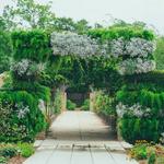 New Orleans Botanical Garden