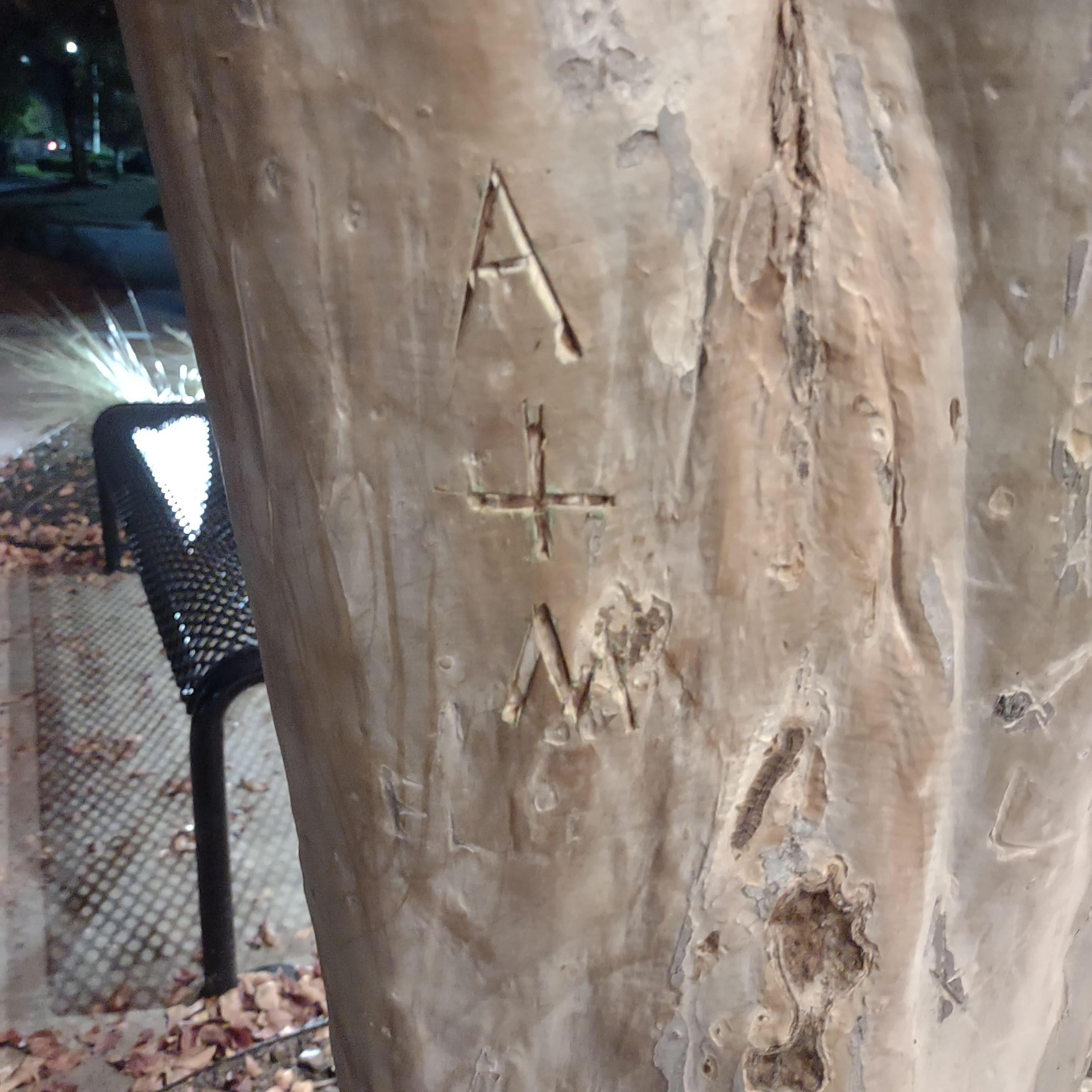Our initials on the tree outside of Chili's