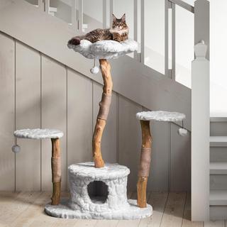 Leone Modern Wooden Cat Tree with Condo