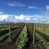 Exploring San Luis Obispo