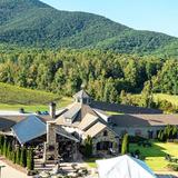 Yonah Mountain Vineyards