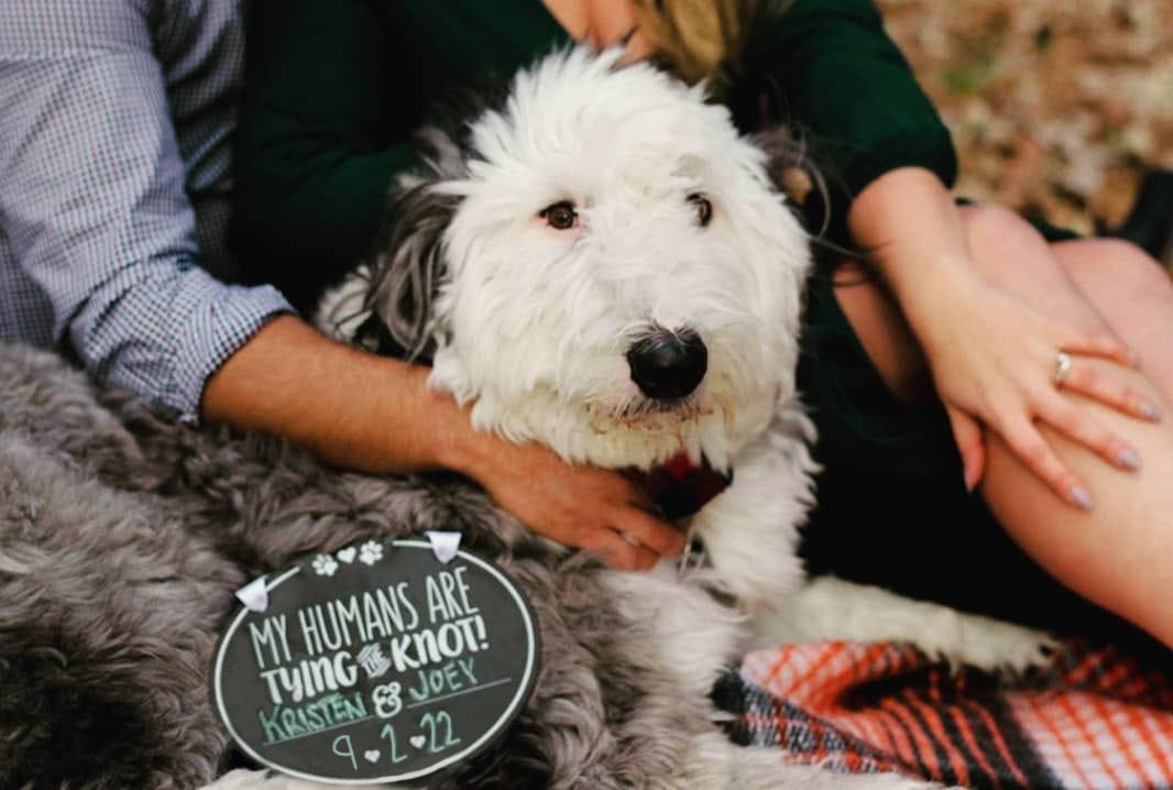 The Wedding Website of Kristen Gaworski and Joey Alcaraz