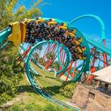 Busch Gardens Tampa Bay