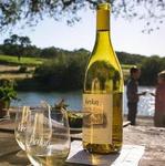 Wine Tasting