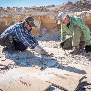 American Fossil Quarry Dig