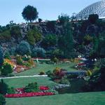 Queen Elizabeth Park & Bloedel Conservatory