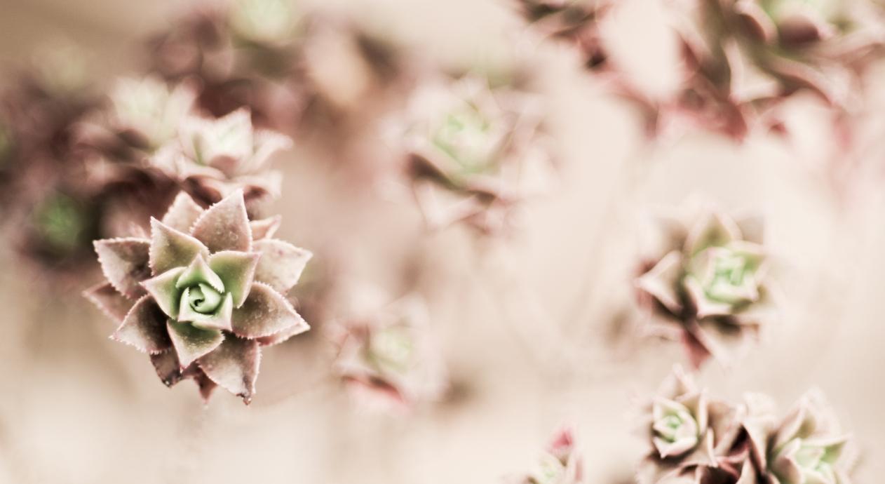 Footer image