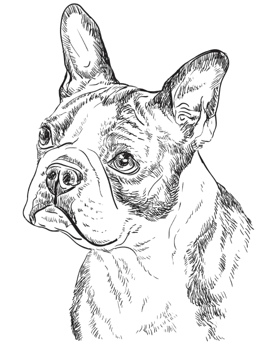 The Wedding Website of Odalis Sanchez and Angel Estrella