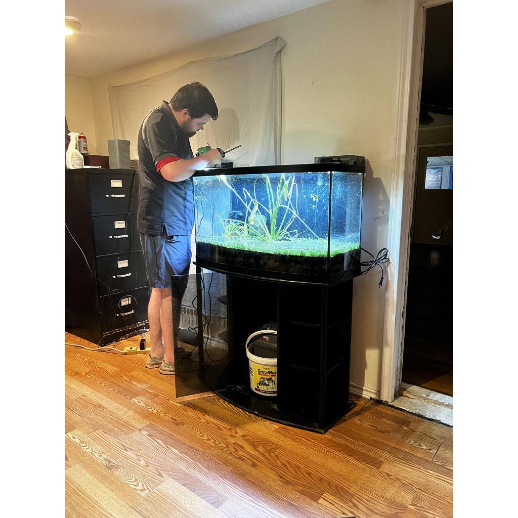 We loved our first fish tank so much, lets get a second one!