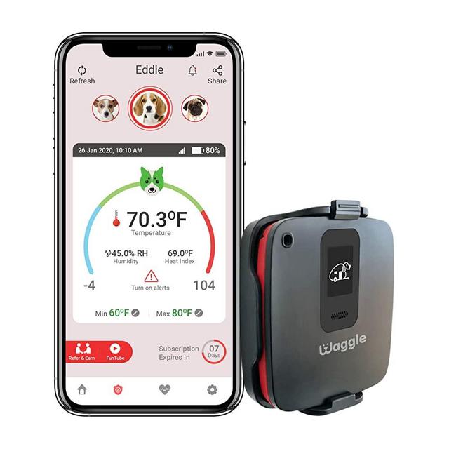 RV/Dog Safety Temperature & Humidity Sensor | 4G Verizon Cellular | Wireless Remote Pet Temp Monitor with 24/7 Email/SMS Alerts | No WiFi Required | iOS/Android compatible