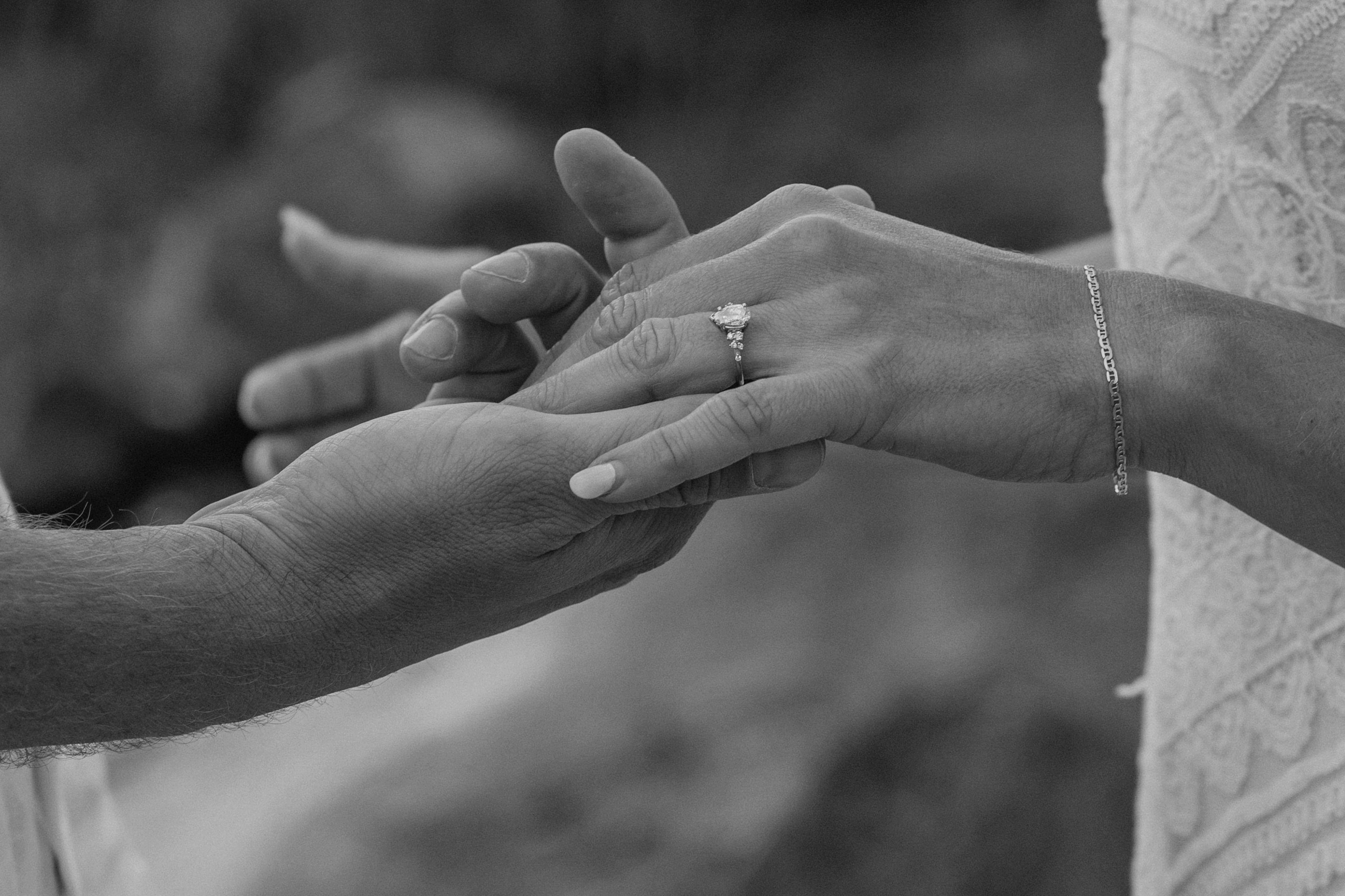 The Wedding Website of Kelli Iddings and David Matich