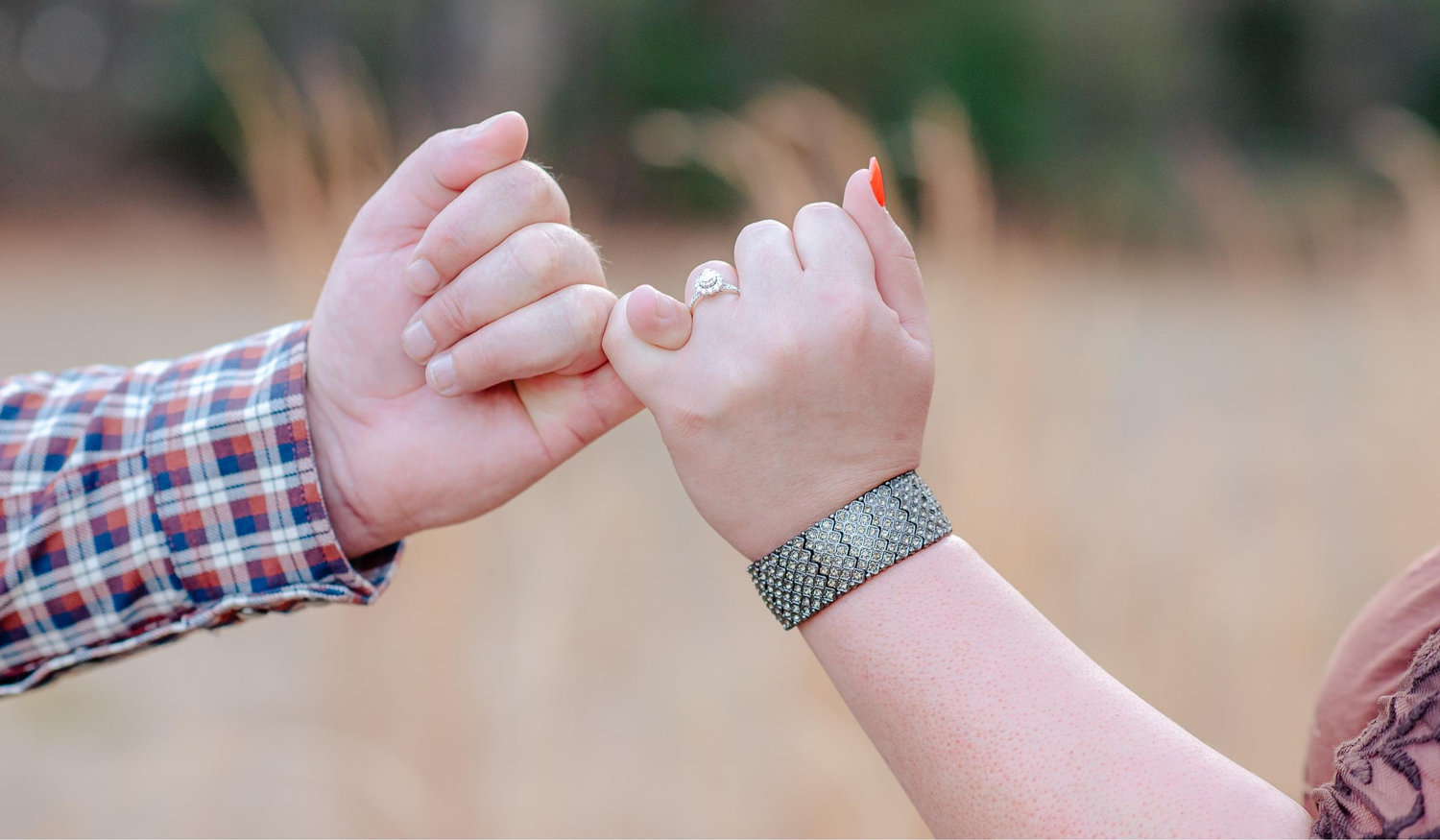 The Wedding Website of Amanda Nix and David Leighton