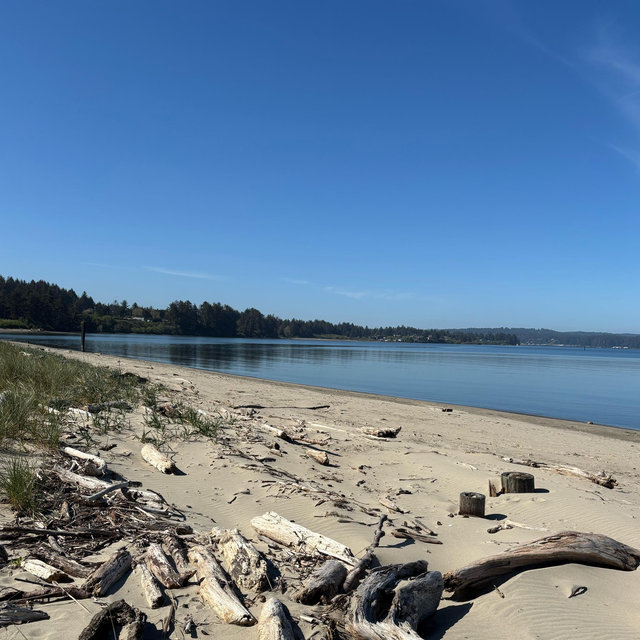 Whale Watching on San Juan Island