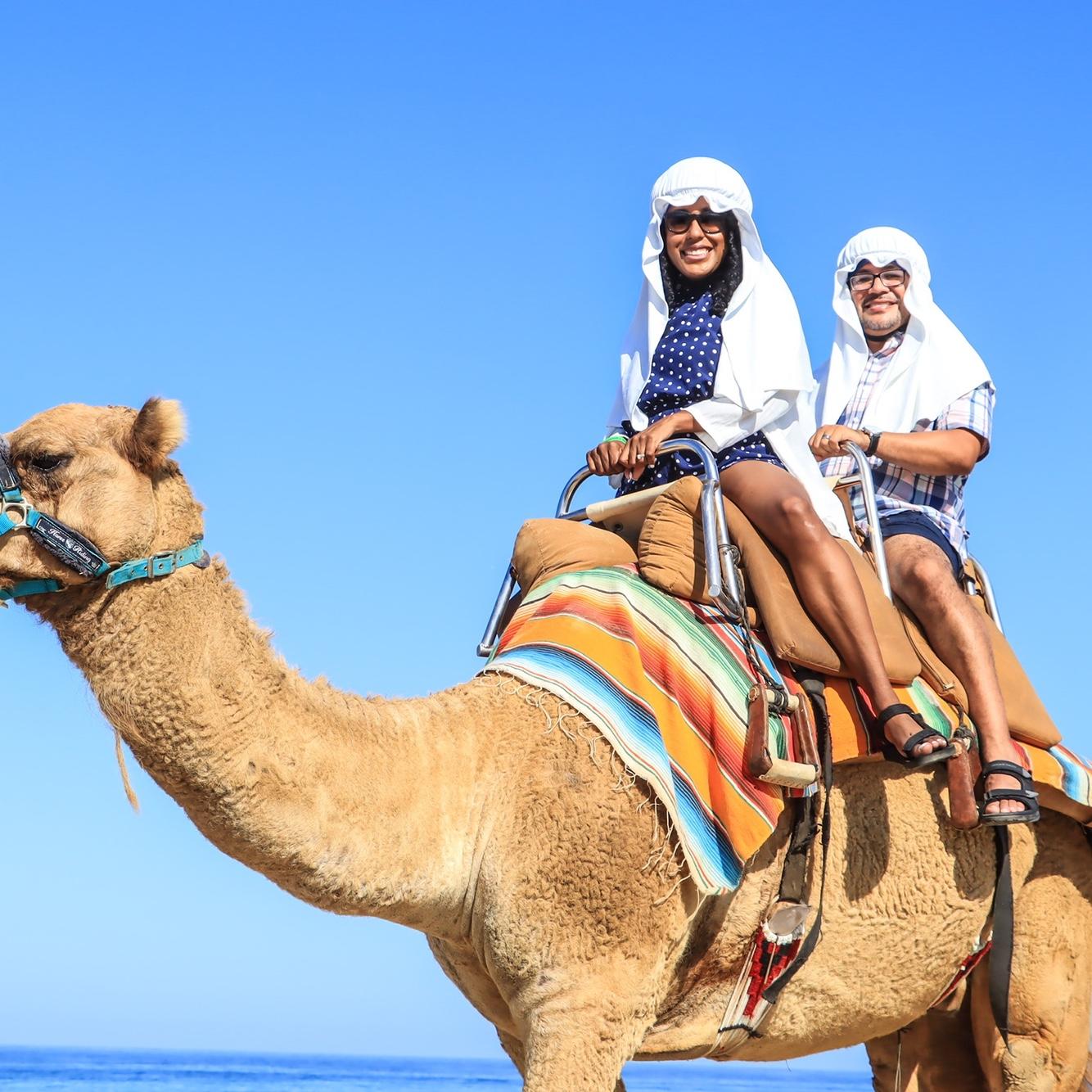 Riding Camels in Mexico. Ask us about Scar.
