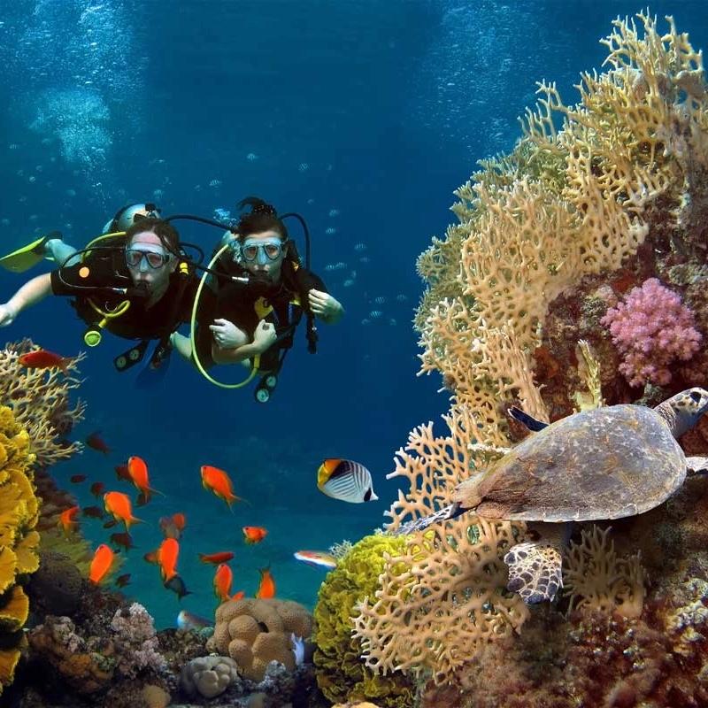 Bali Scuba Diving