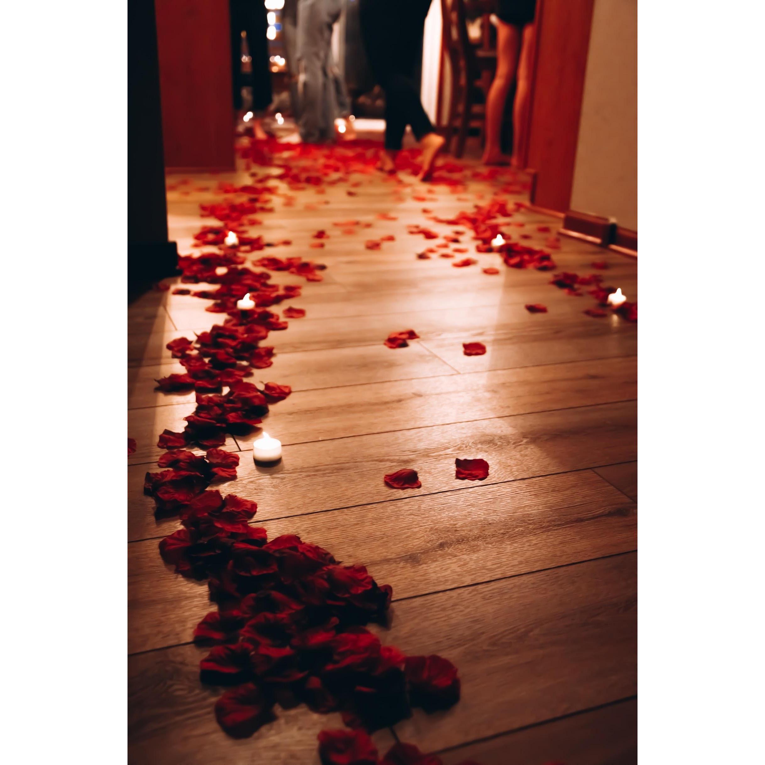 Our walkway into the proposal