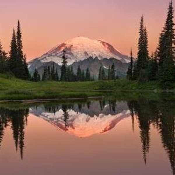 Pacific Northwest Honeymoon