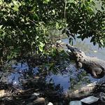 Laguna del Carpintero