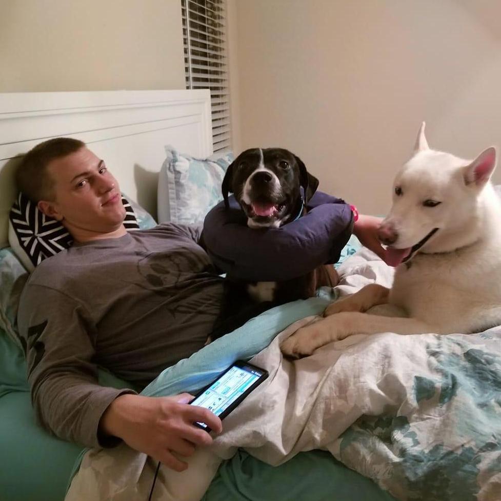 Just a typical night in our household!