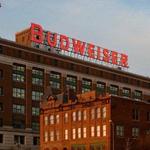 Budweiser Brewery Experience