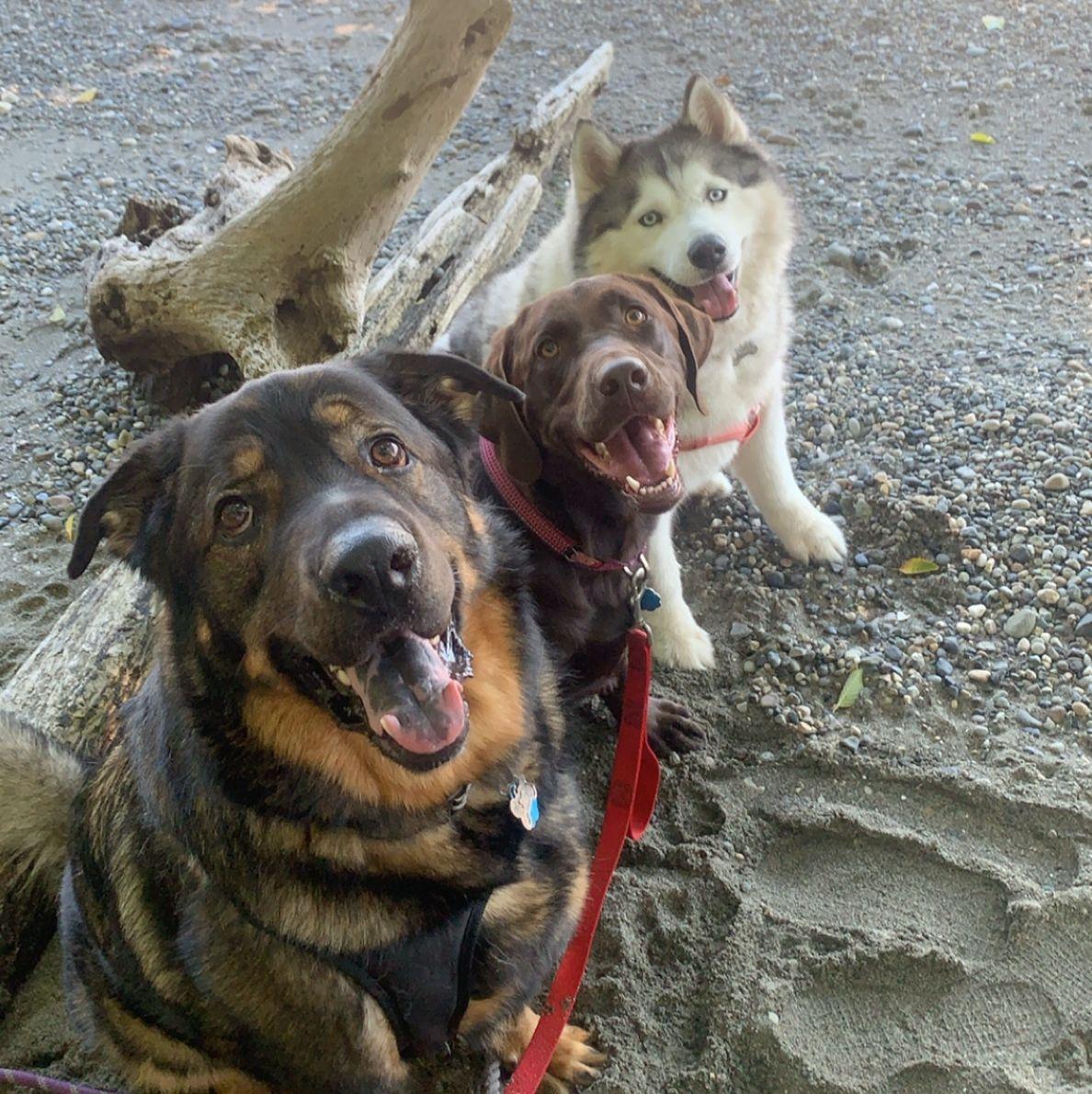 Zeus, Ruby and Margie