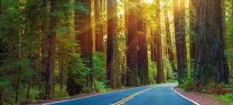 The Wedding Website of Fiona Fox and Kodee Fox