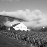 King Family Vineyards