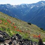 Marmot Pass Trailhead