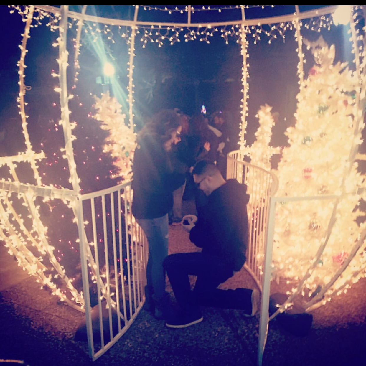 Proposal 💕