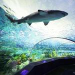Ripley's Aquarium of Canada